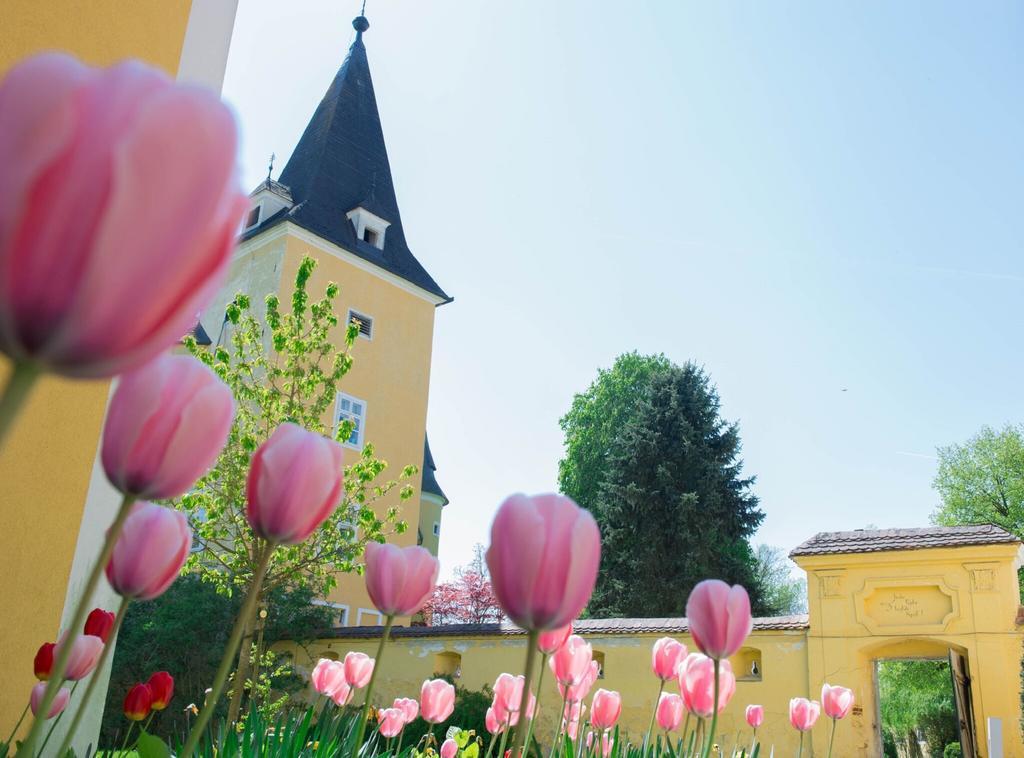 Schloss Muehldorf Feldkirchen an der Donau Kültér fotó